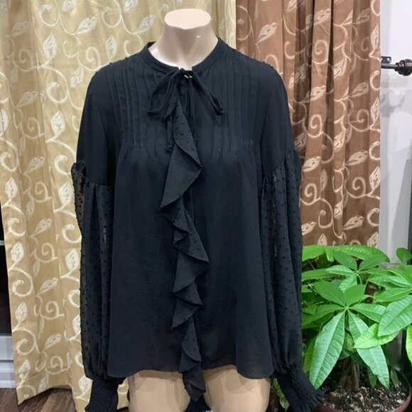 🔴SOLD🔴 Zara Sheer Blouse - Picture 1 of 5